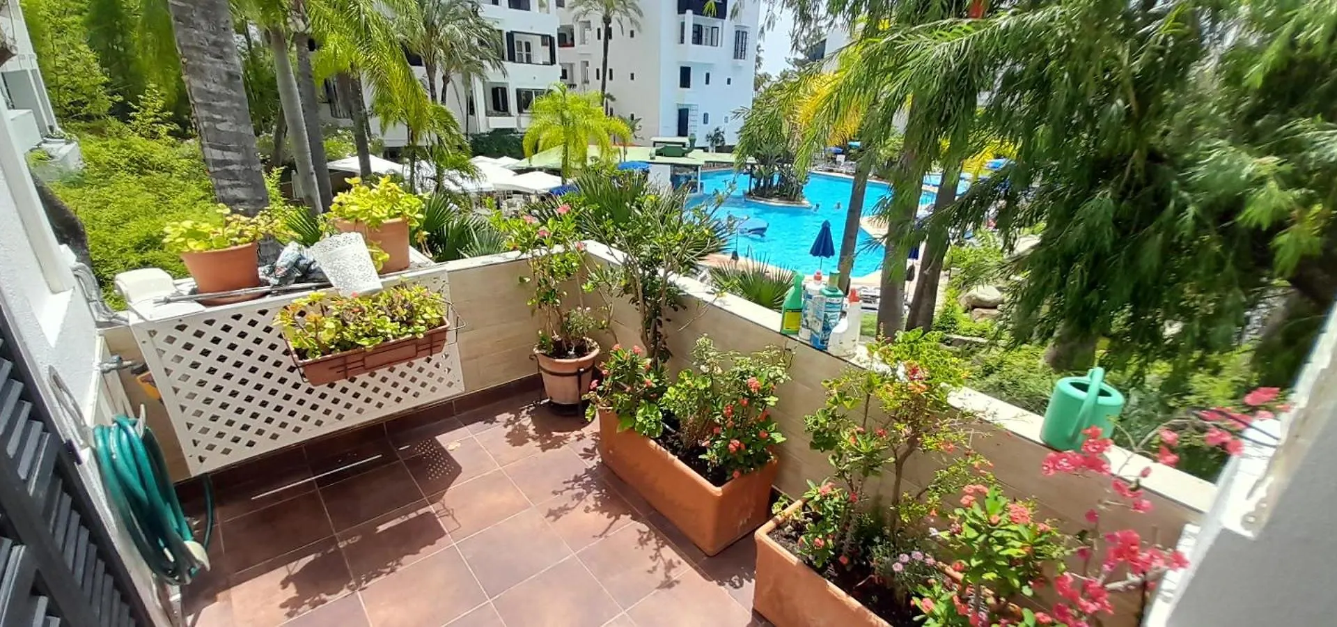 Jardines De Las Golondrinas Marbella Hiszpania